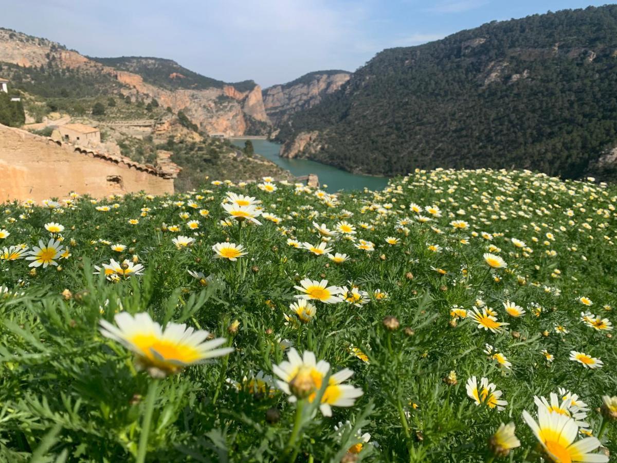 Вилла El Refugio De Chloe Villar de Ves Экстерьер фото
